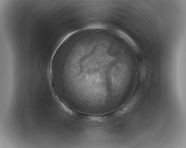 X0000116440852200912081555