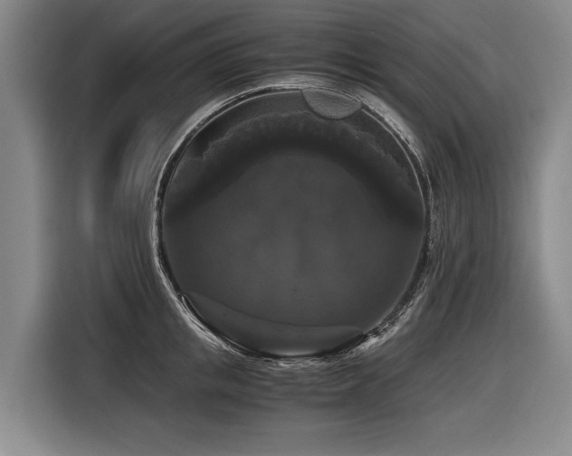 X0000116440853200912081555