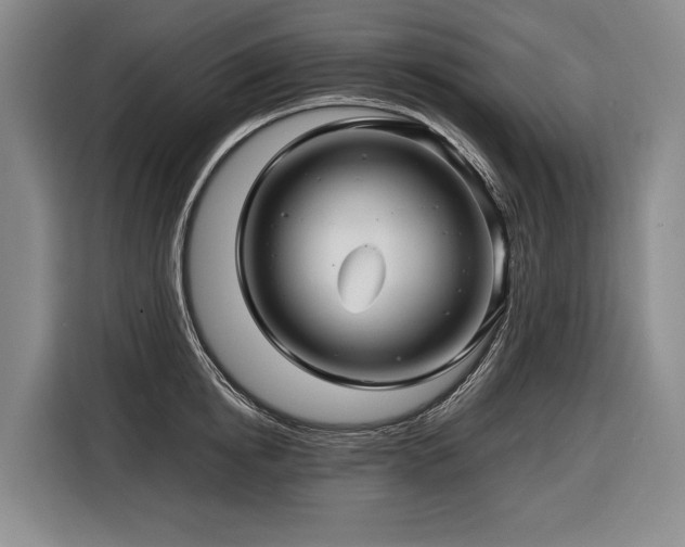 X0000116440854200912081555