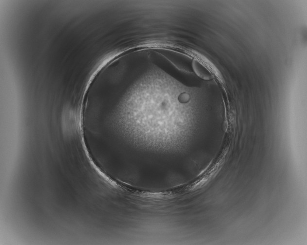 X0000116440855200912081555