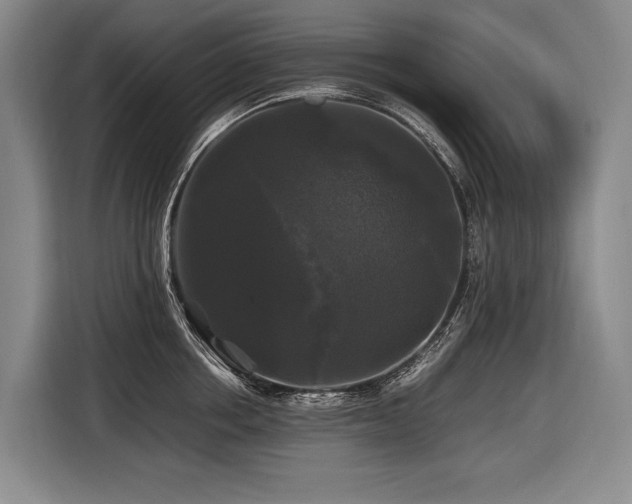 X0000116440858200912081555