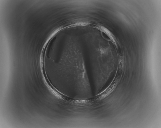 X0000116440859200912081555