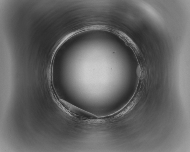 X0000116440860200912081555