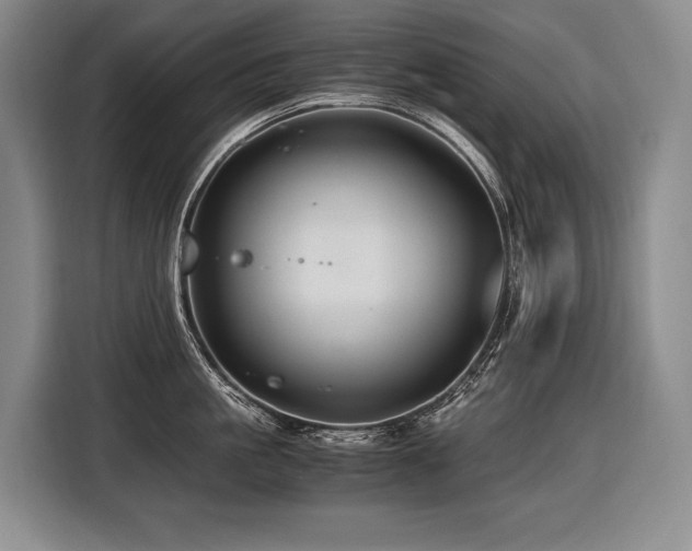 X0000116440861200912081555
