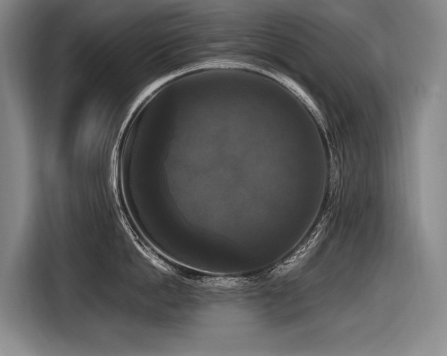 X0000116440862200912081555