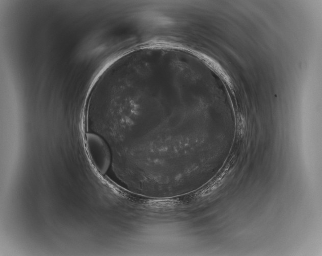 X0000116440863200912081555