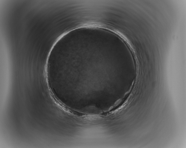 X0000116440864200912081555