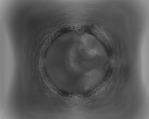 X0000116440865200912081554