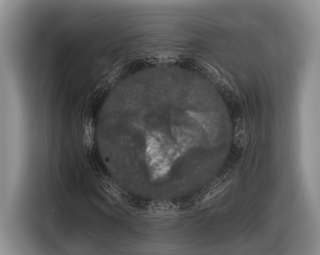 X0000116440866200912081554