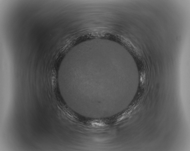 X0000116440867200912081554