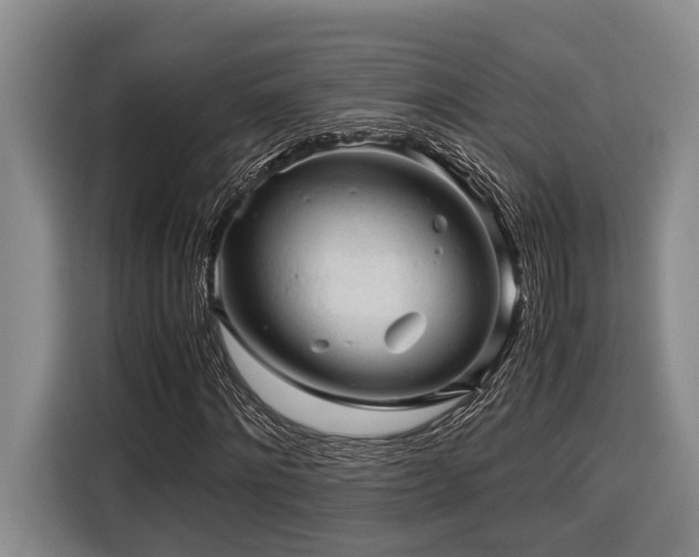 X0000116440868200912081554