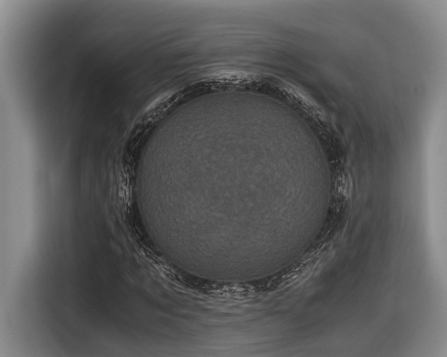 X0000116440869200912081554