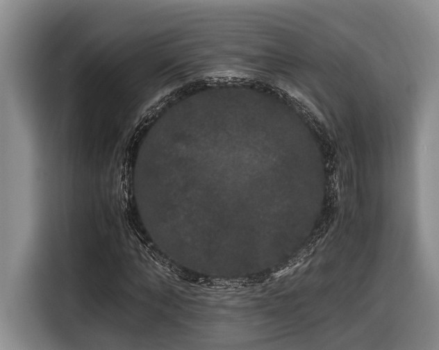 X0000116440870200912081554