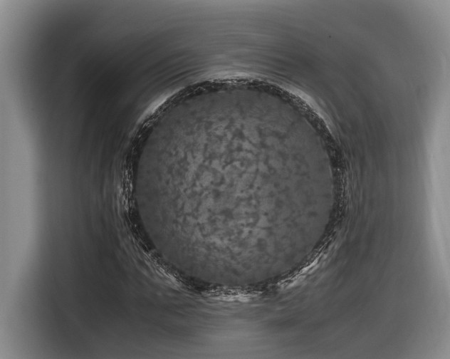 X0000116440871200912081554