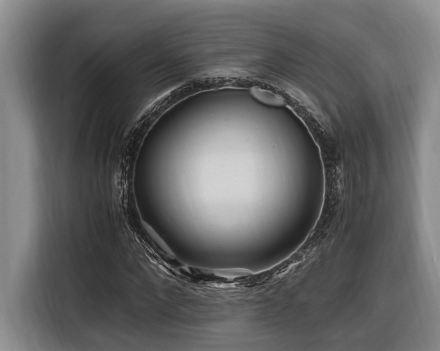 X0000116440872200912081554