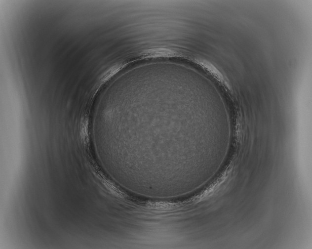 X0000116440873200912081554