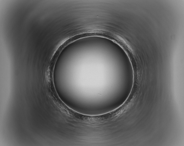 X0000116440875200912081554