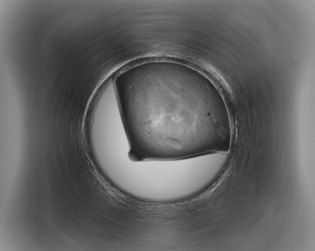 X0000116440876200912081554