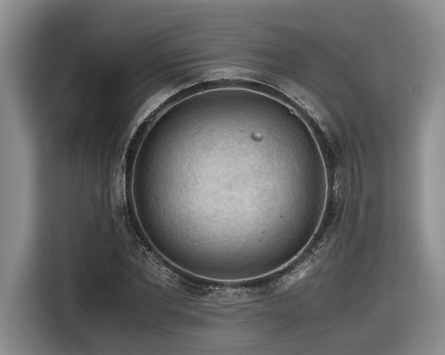 X0000116440877200912081554