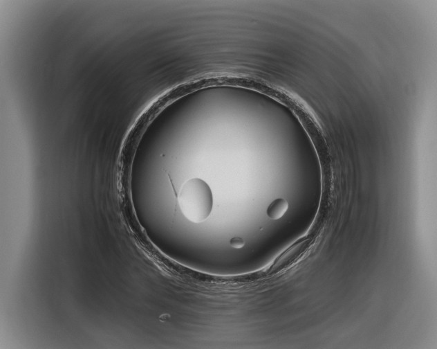 X0000116440878200912081554