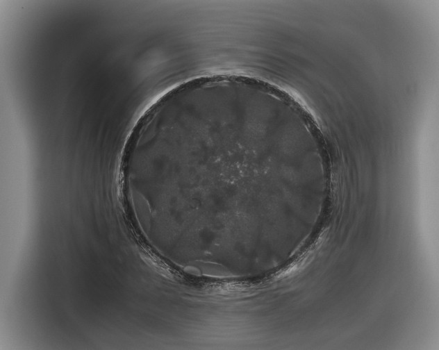 X0000116440879200912081554
