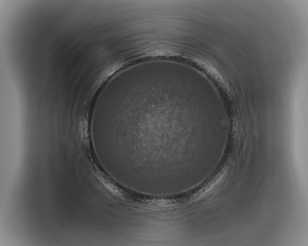 X0000116440881200912081554