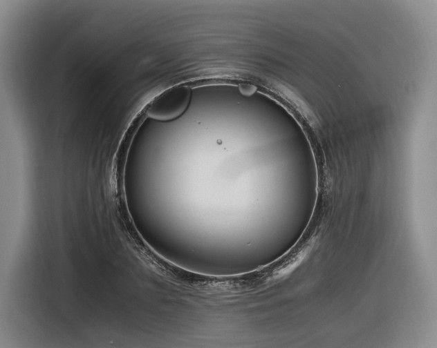 X0000116440883200912081554