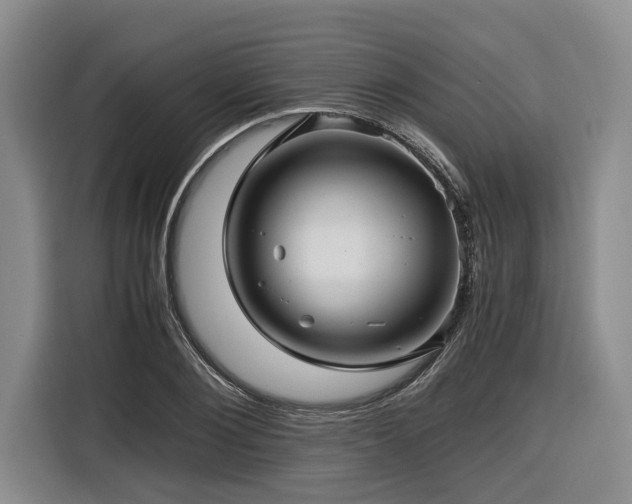 X0000116440884200912081554