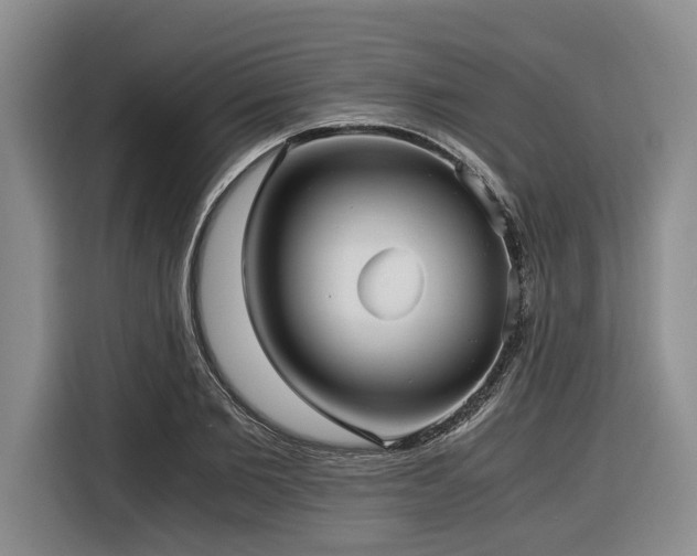 X0000116440885200912081554