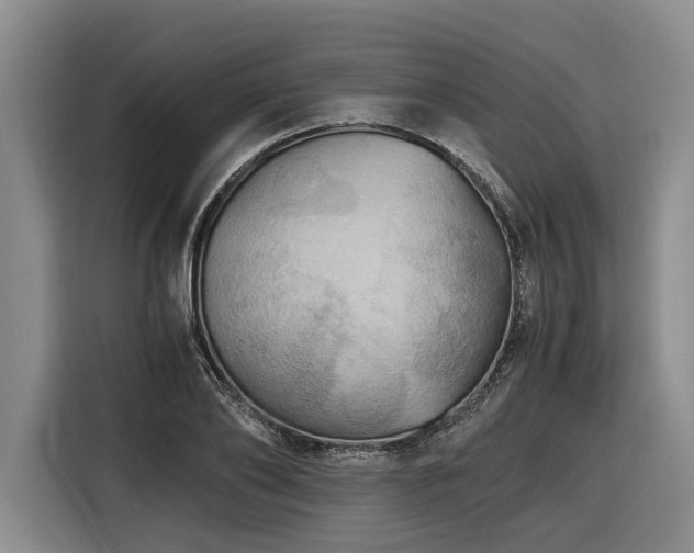 X0000116440886200912081554