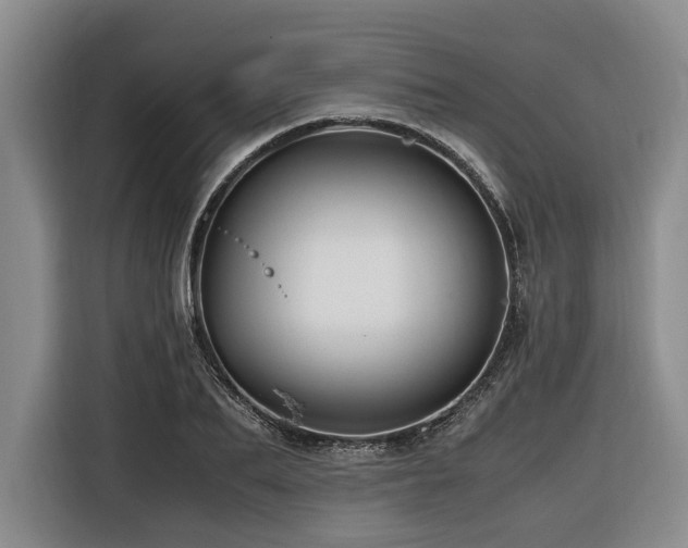 X0000116440887200912081554