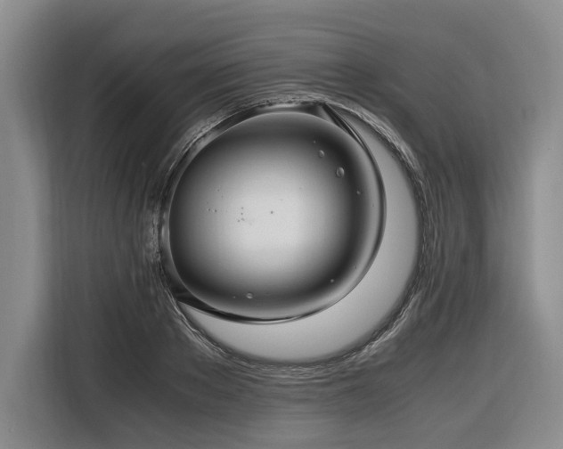 X0000116440889200912081554