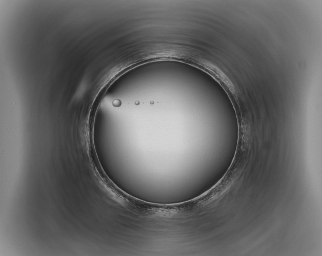 X0000116440890200912081554
