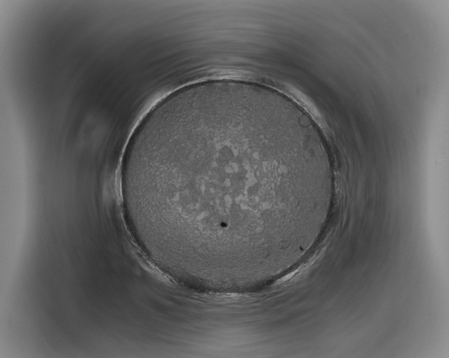 X0000116440891200912081554