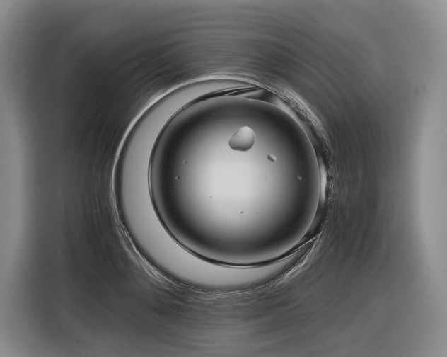 X0000116440892200912081554