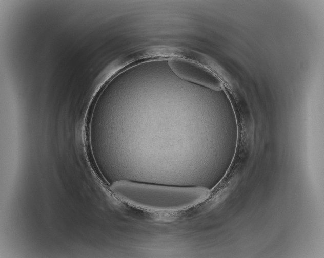 X0000116440893200912081554