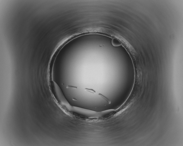 X0000116440894200912081554