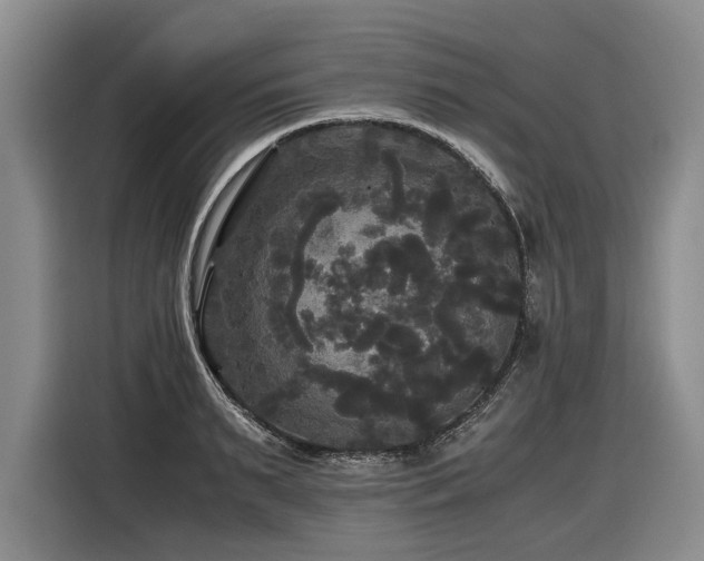 X0000116440895200912081554
