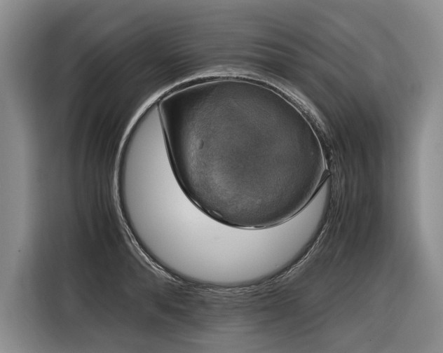 X0000116440896200912081554