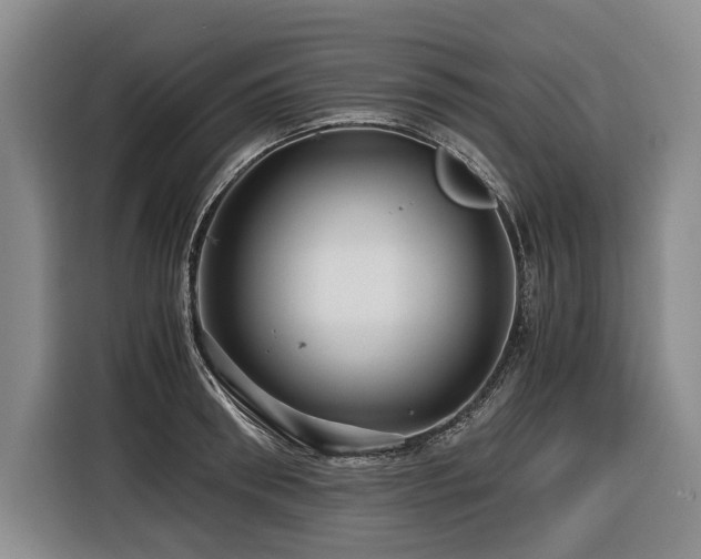 X0000116440898200912081554