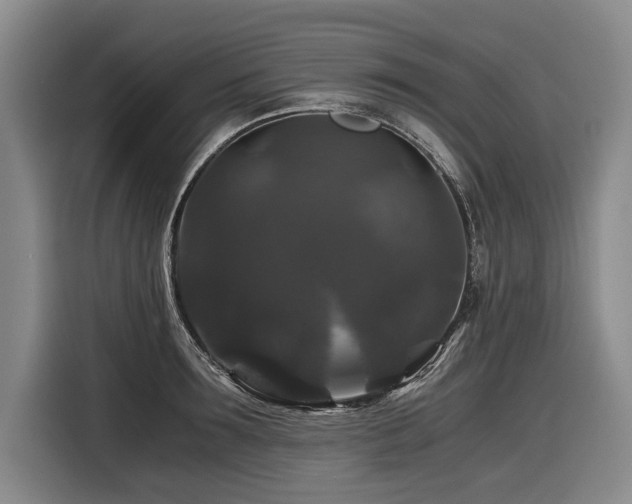 X0000116440899200912081554