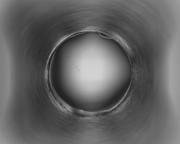 X0000116440900200912081554