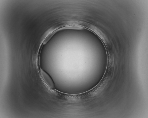 X0000116440901200912081554
