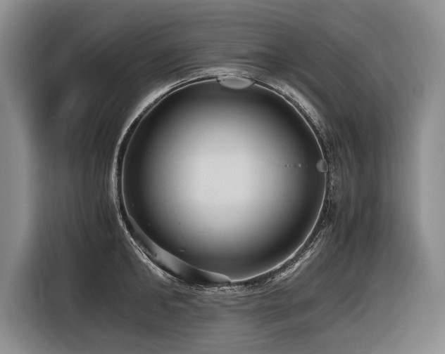 X0000116440902200912081554