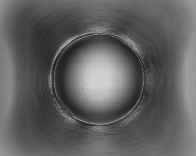 X0000116440904200912081554