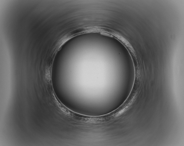 X0000116440905200912081554