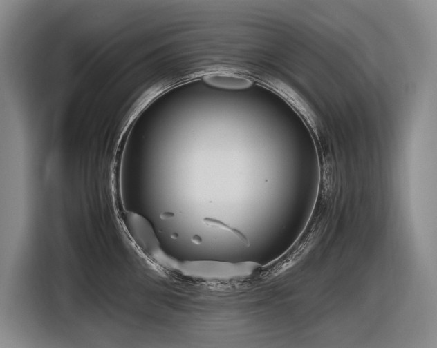 X0000116440906200912081554