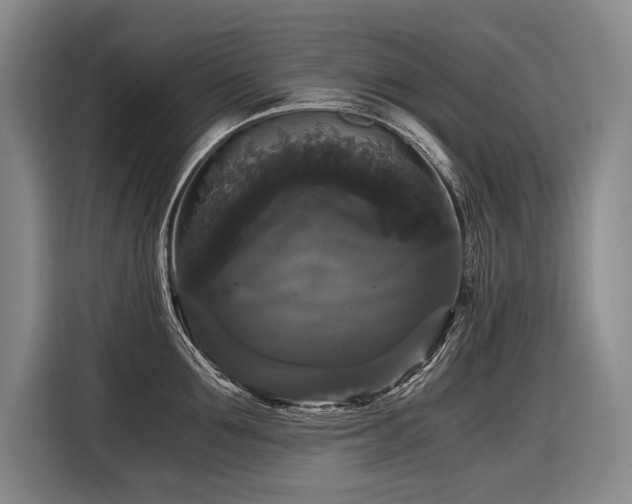 X0000116440907200912081554