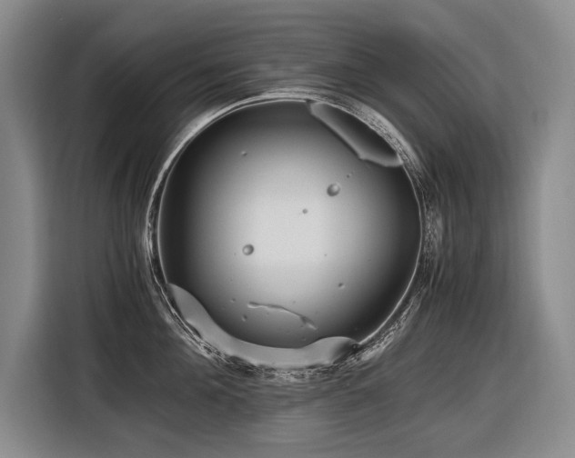 X0000116440908200912081554