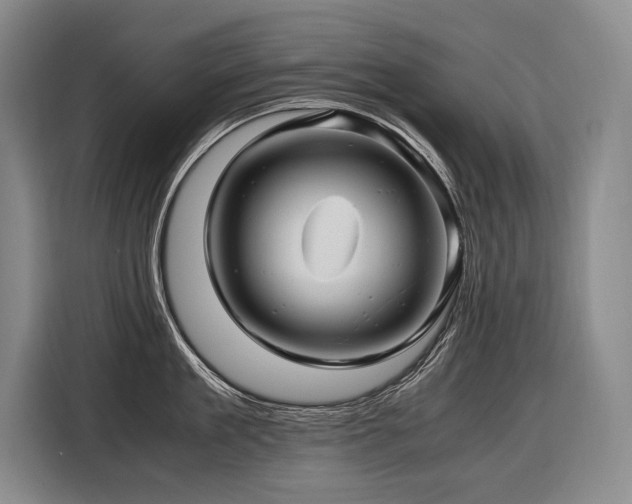 X0000116440909200912081554
